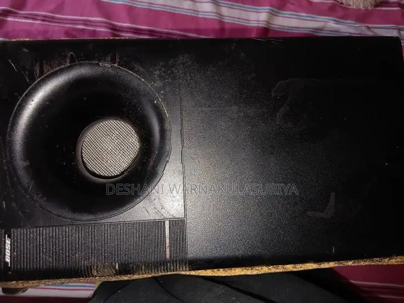 Bose Speaker System