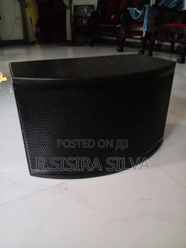 OK-102 QTS 2-Way Passive 10-Inch Professional Karaoke