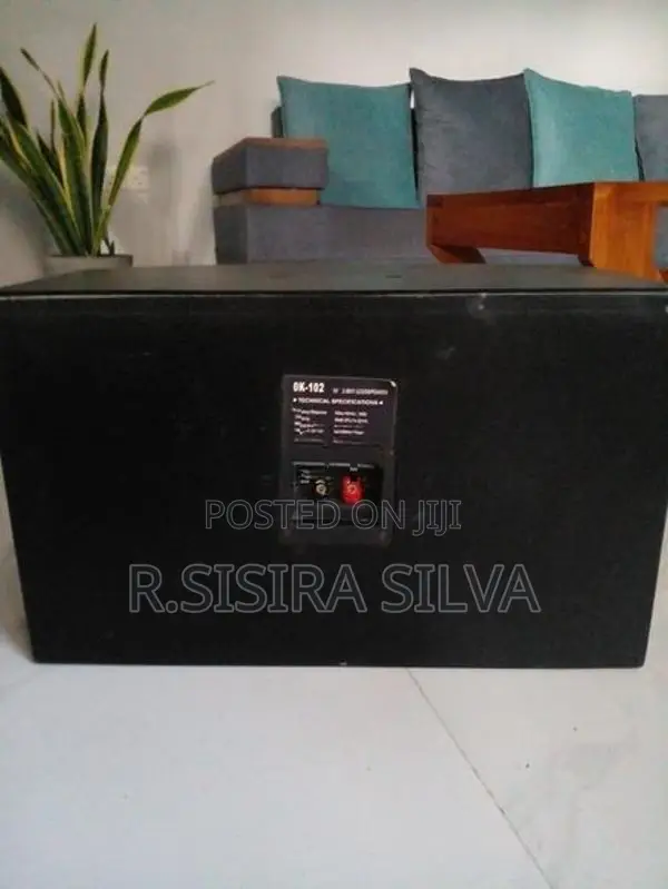 OK-102 QTS 2-Way Passive 10-Inch Professional Karaoke