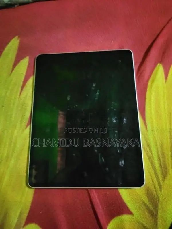 I PAD PRO 12.9 INCH 256 WIFI