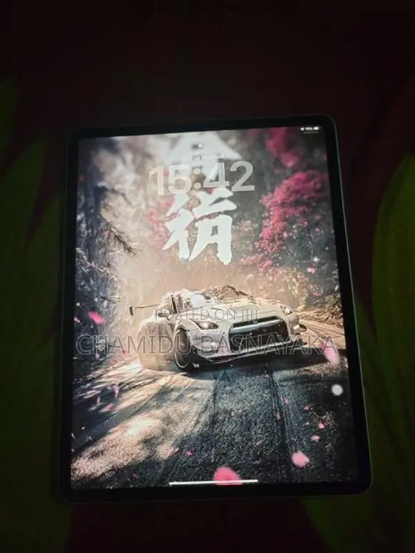 I PAD PRO 12.9 INCH 256 WIFI