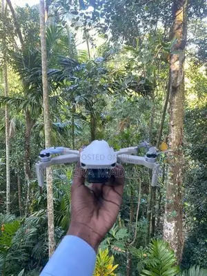 Mini 2 Se