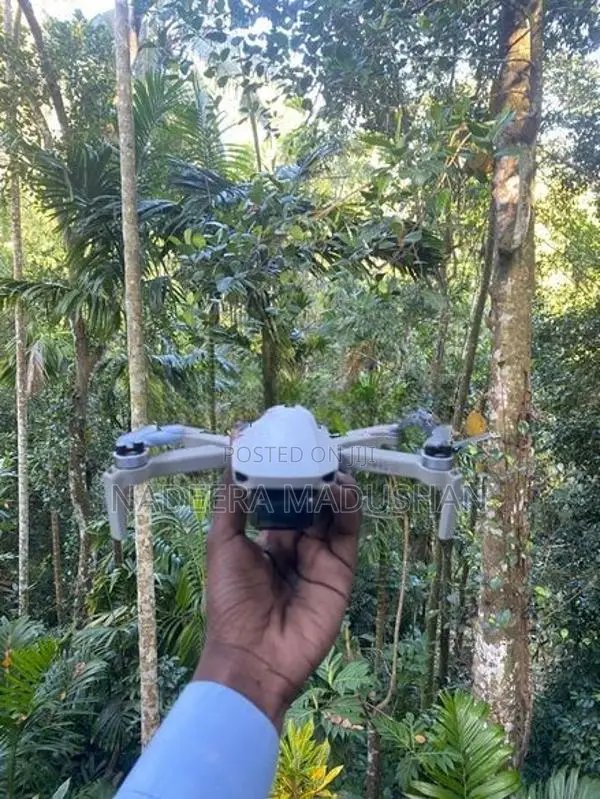 Mini 2 Se