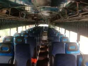 Ashok-Leyland Viking 2010 Bus (Used)