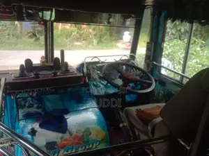 Ashok-Leyland Viking 2010 Bus (Used)