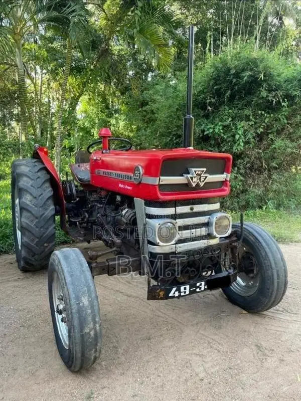 Massey-Ferguson 135 DL 1994 Tractor (Used)