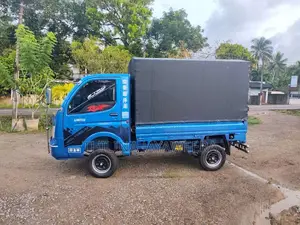 Tata Dimo Batta ACE 2016 Lorry (Used)