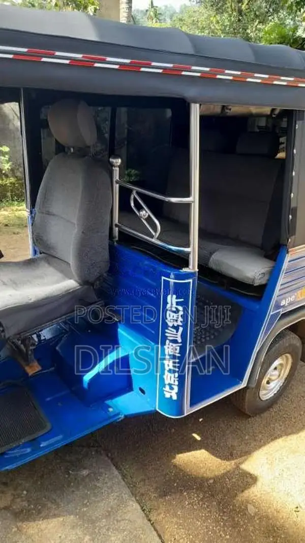 Piaggio Ape 2009 Three Wheel (Used)