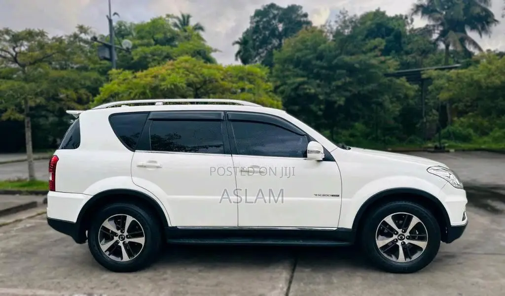 Micro Rexton 2015 SUV (Used)