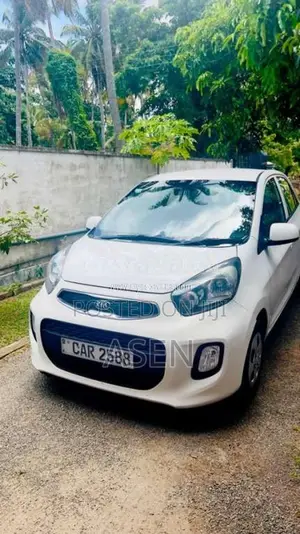 Kia Picanto 2016 Car (Used)