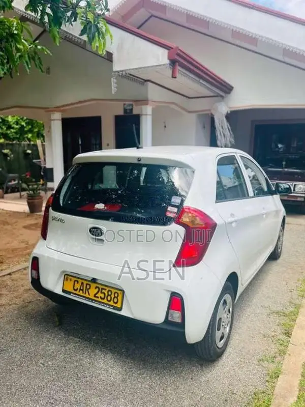 Kia Picanto 2016 Car (Used)