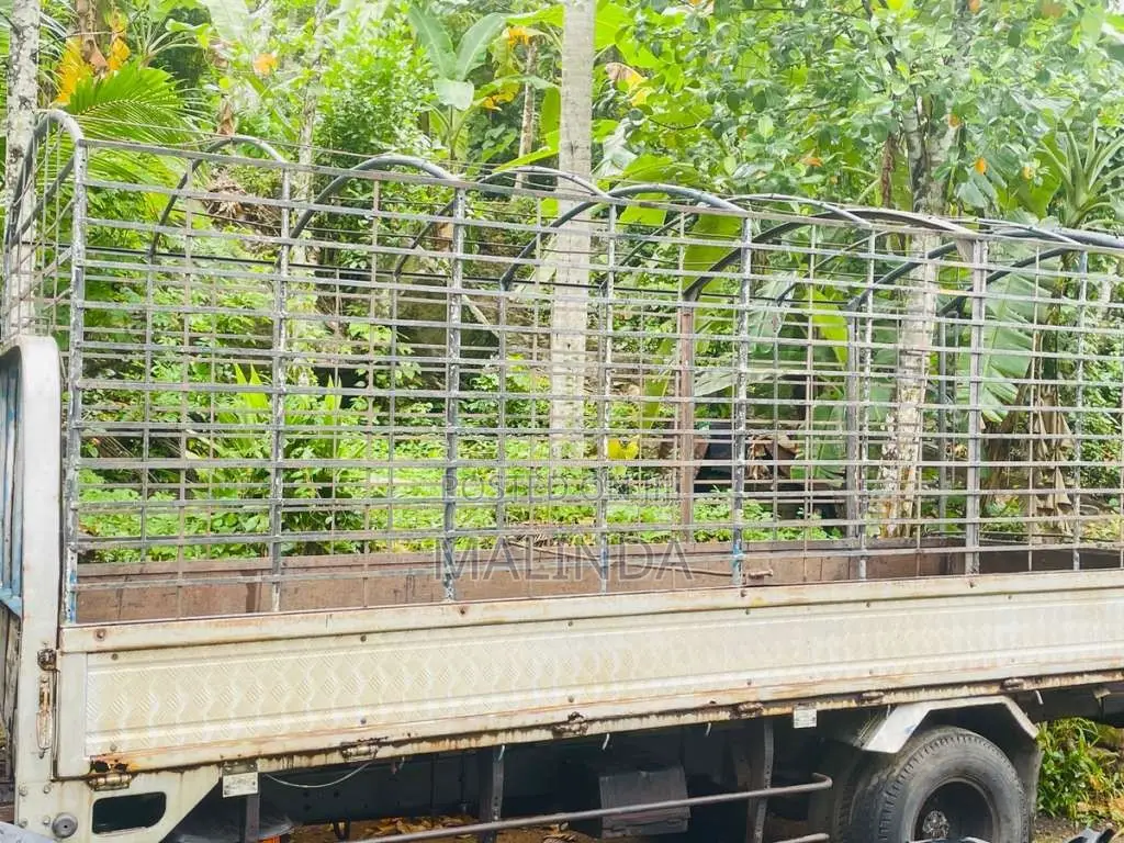 Isuzu Full Body 1995 Lorry (Used)