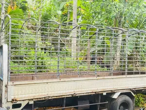 Isuzu Full Body 1995 Lorry (Used)