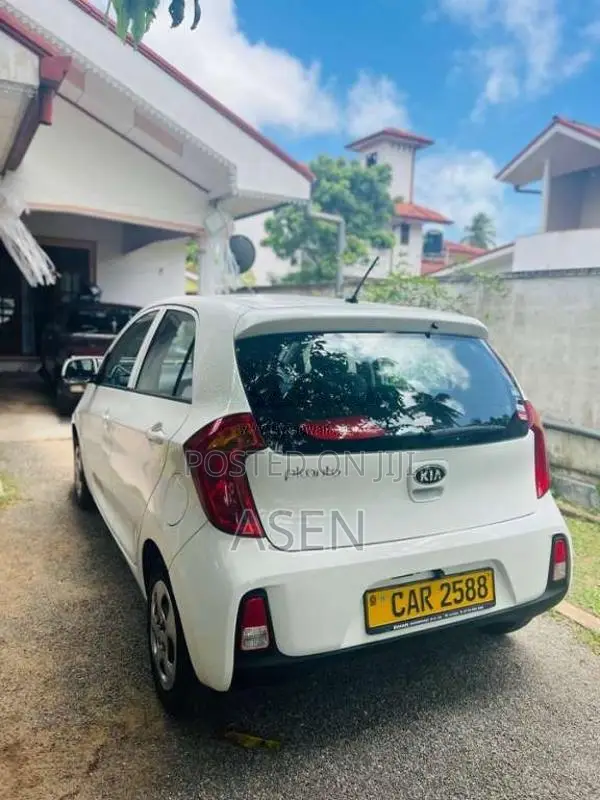 Kia Picanto 2016 Car (Used)