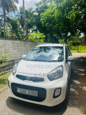 Kia Picanto 2016 Car (Used)