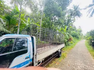 Isuzu Full Body 1995 Lorry (Used)