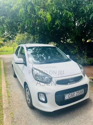 Kia Picanto 2016 Car (Used)