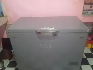 Singer Freezer
