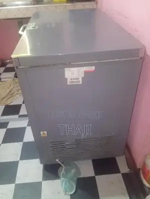 Singer Freezer