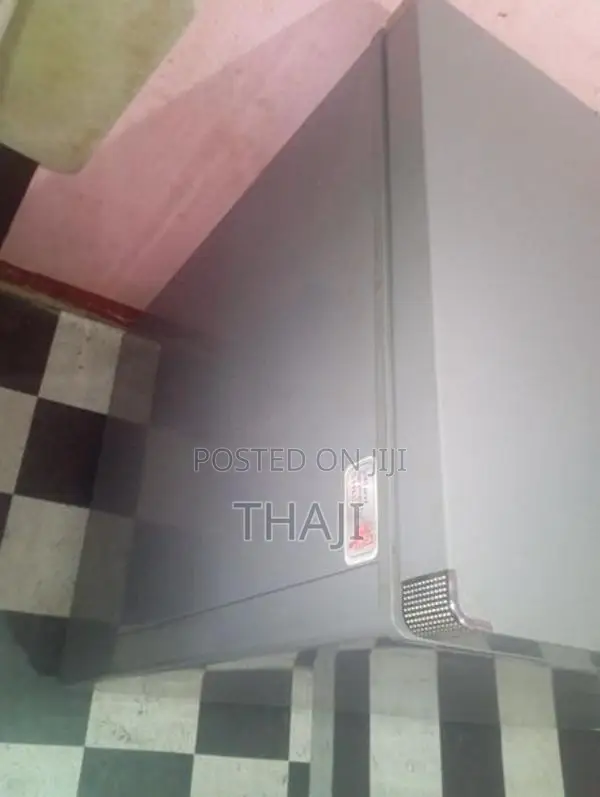 Singer Freezer
