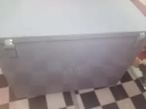 Singer Freezer
