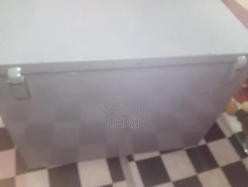 Singer Freezer