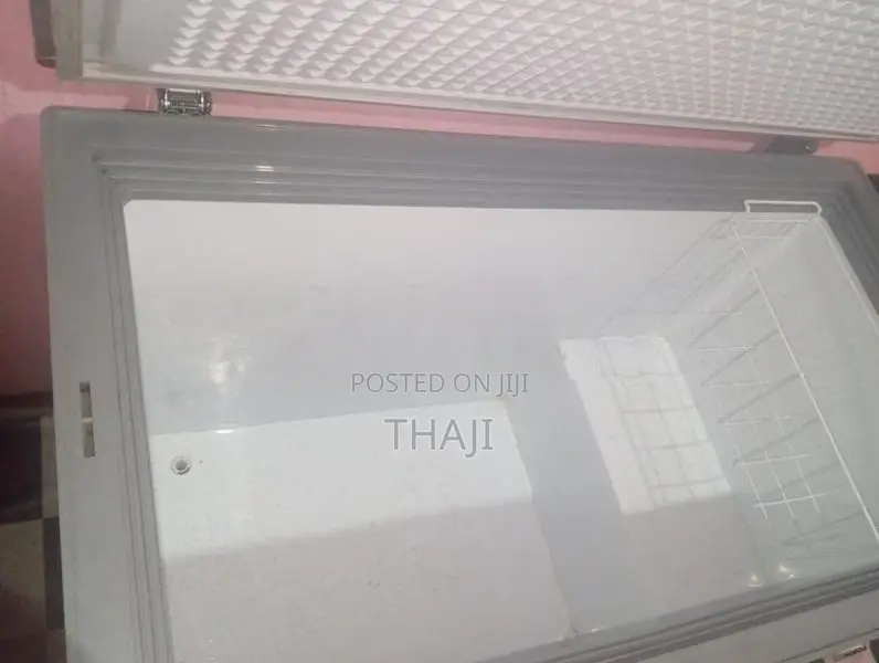 Singer Freezer
