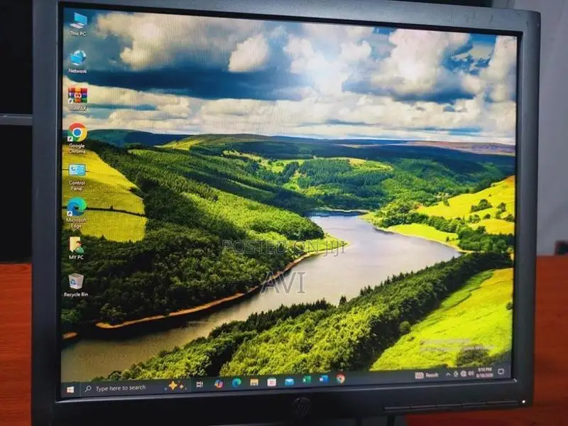 HP IPS 19 Monitor