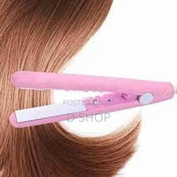 Travel Hair straightener 230V Electric Mini