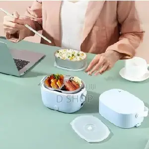 Double Layer Electric Lunch Box