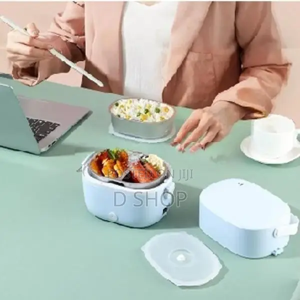 Double Layer Electric Lunch Box
