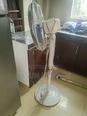 Stand Fan