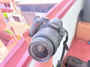 NikonD3100
