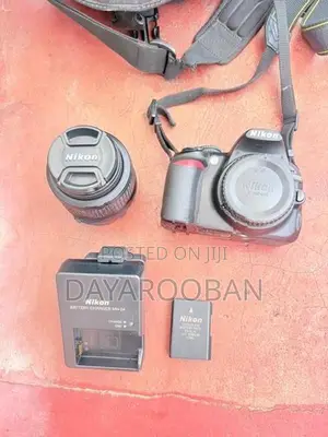 NikonD3100