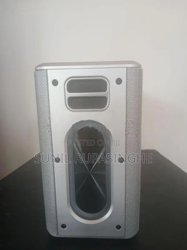 Karaokee Speaker with Two Mics