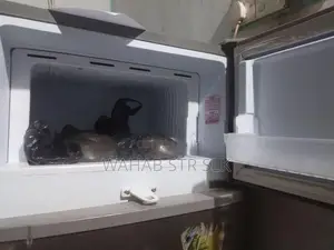 Singer Fridge