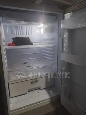 Singer Fridge