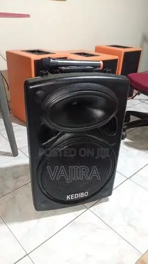 12" Karaoke Partybox Speaker