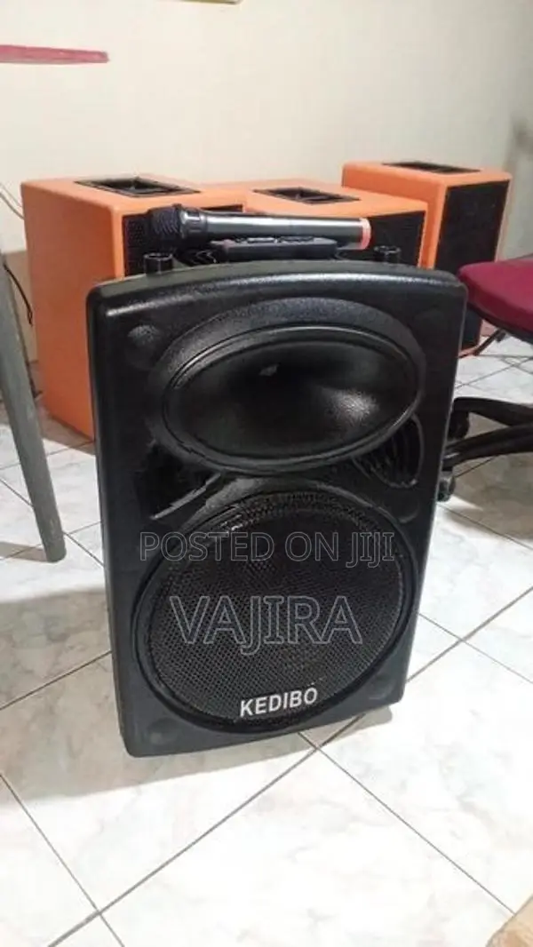 12" Karaoke Partybox Speaker