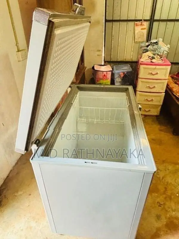 Singer Deep Freezer