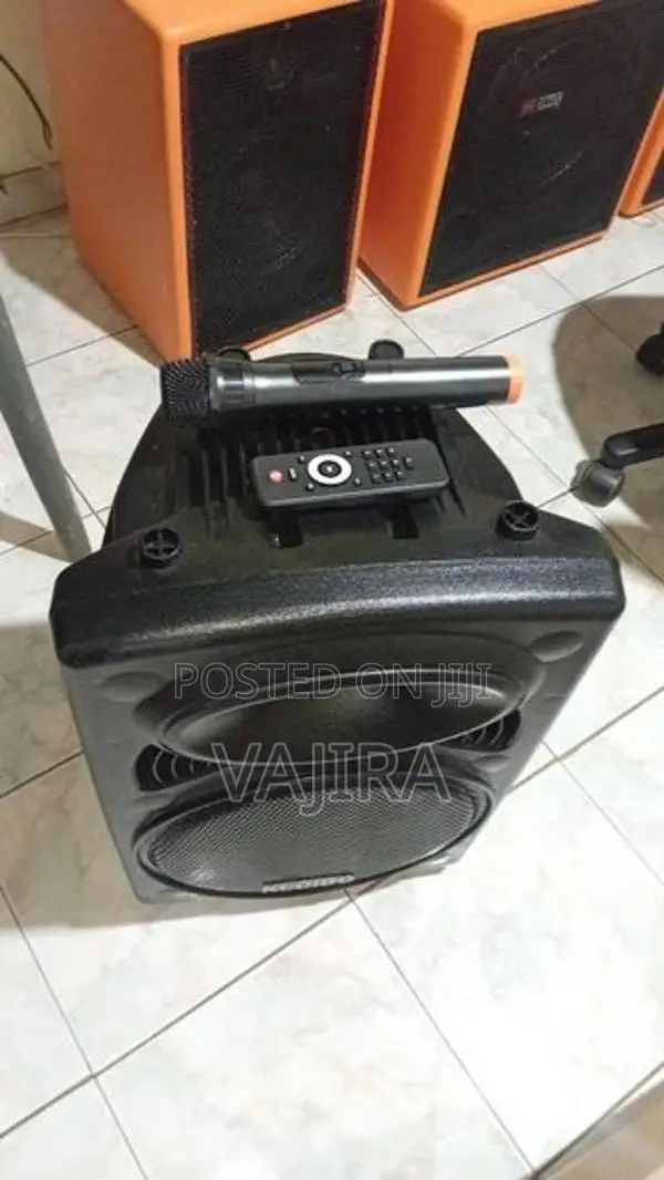12" Karaoke Partybox Speaker