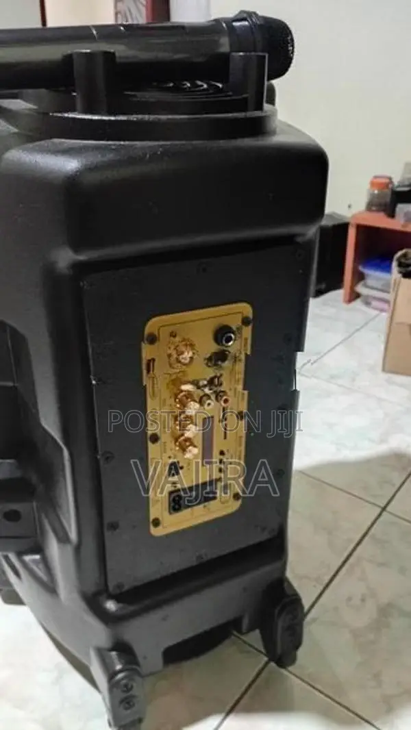 12" Karaoke Partybox Speaker