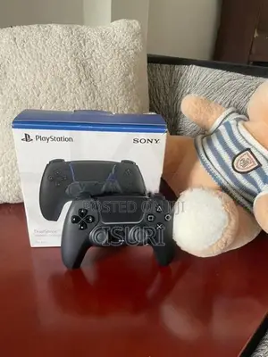 Playstation 5 Controller