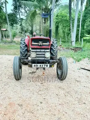 Massey-Ferguson 135 Dl 1993 Tractor (Used)