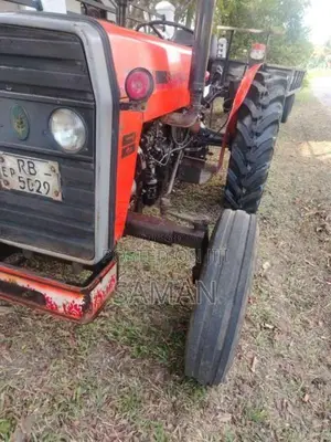 TAFE TAFE 2009 Tractor (Used)