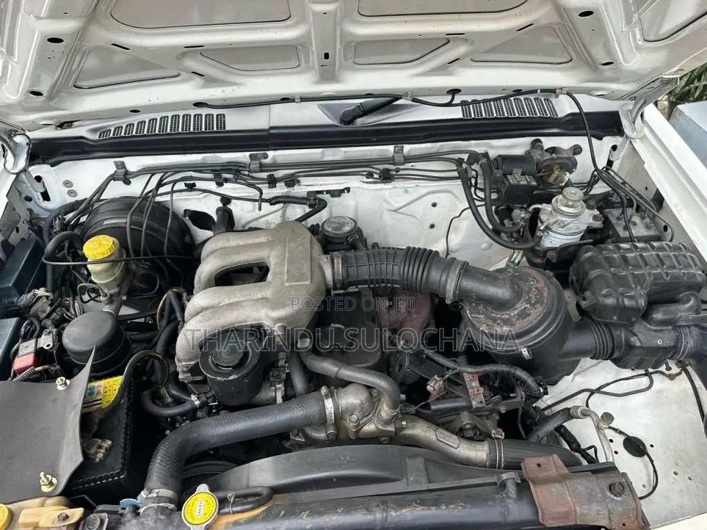 Nissan D22 2004 Pickup (Used)