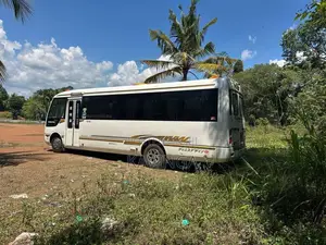 Mitsubishi Rosa 2012 Bus (Used)