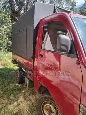 Mahindra Maxximo Plus 2013 Lorry (Used)