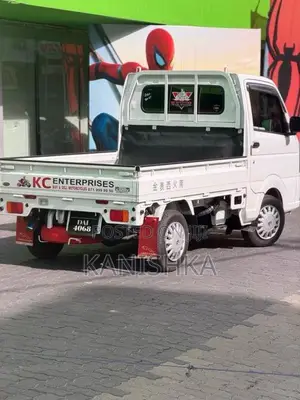 Suzuki Carry 2025 Lorry (Used)