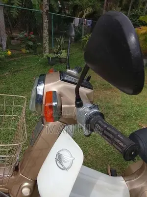 Honda Super Cub Customer 2018 Motorbike (Used)